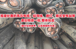 报废处置的高压电缆、铝导线、路灯、箱式变电站等废旧物资一批(整体拍卖)